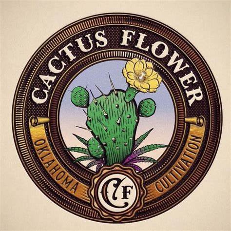 Cactus Flower